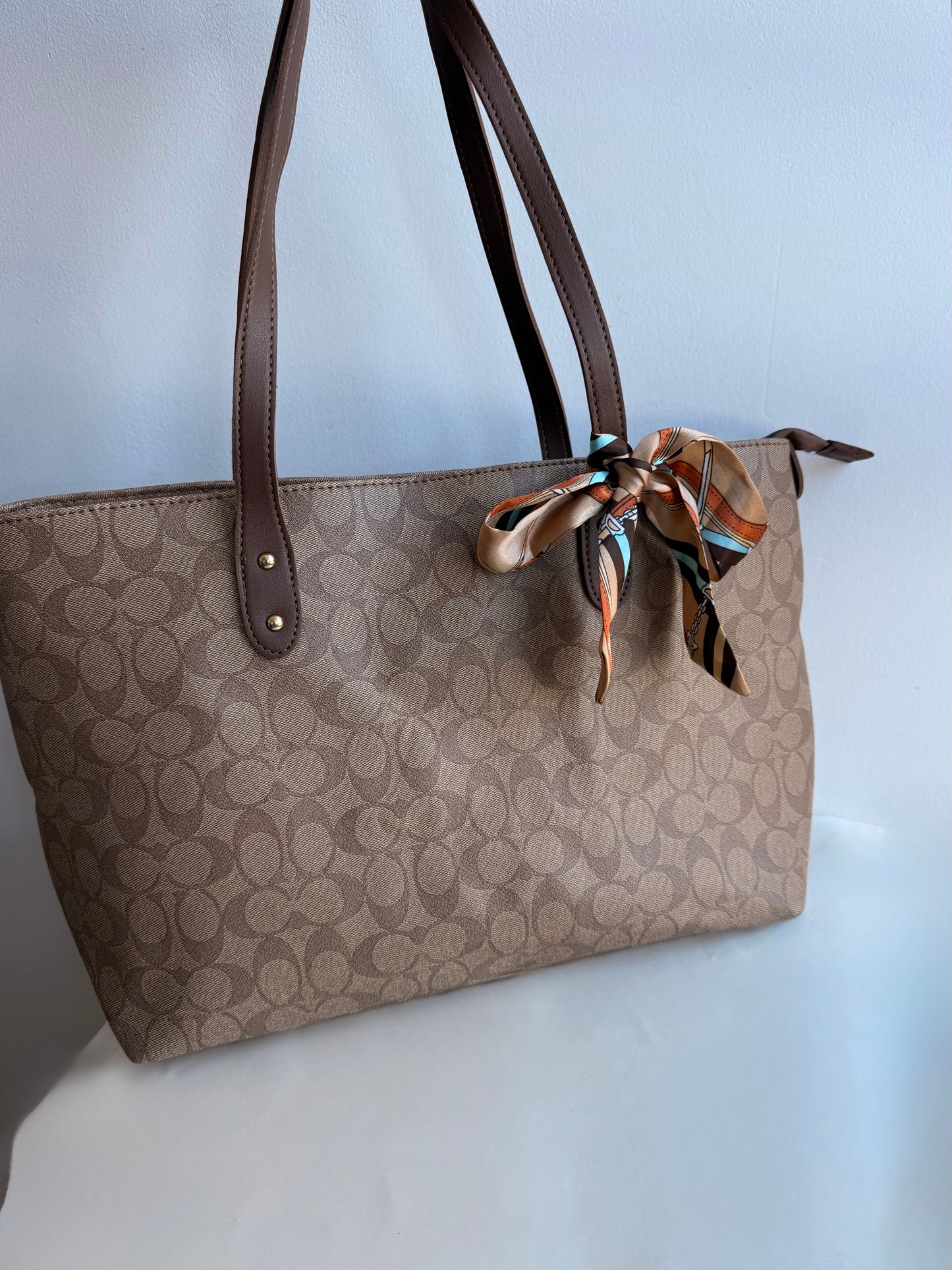 Cartera coach clara