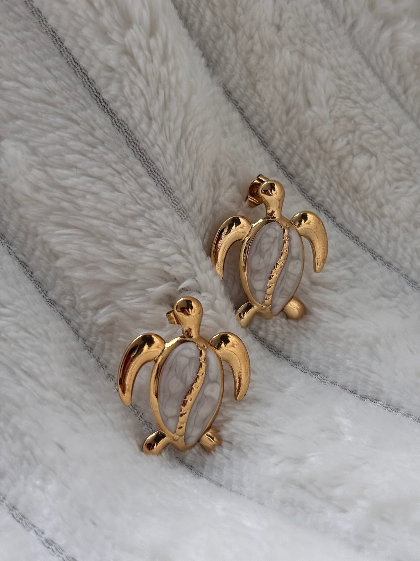 Aretes tortuga