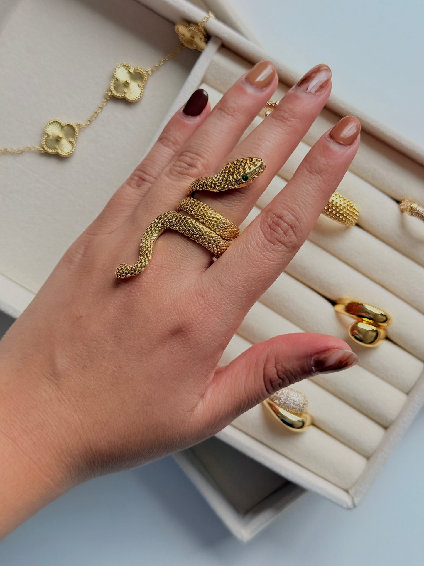 Anillo snake