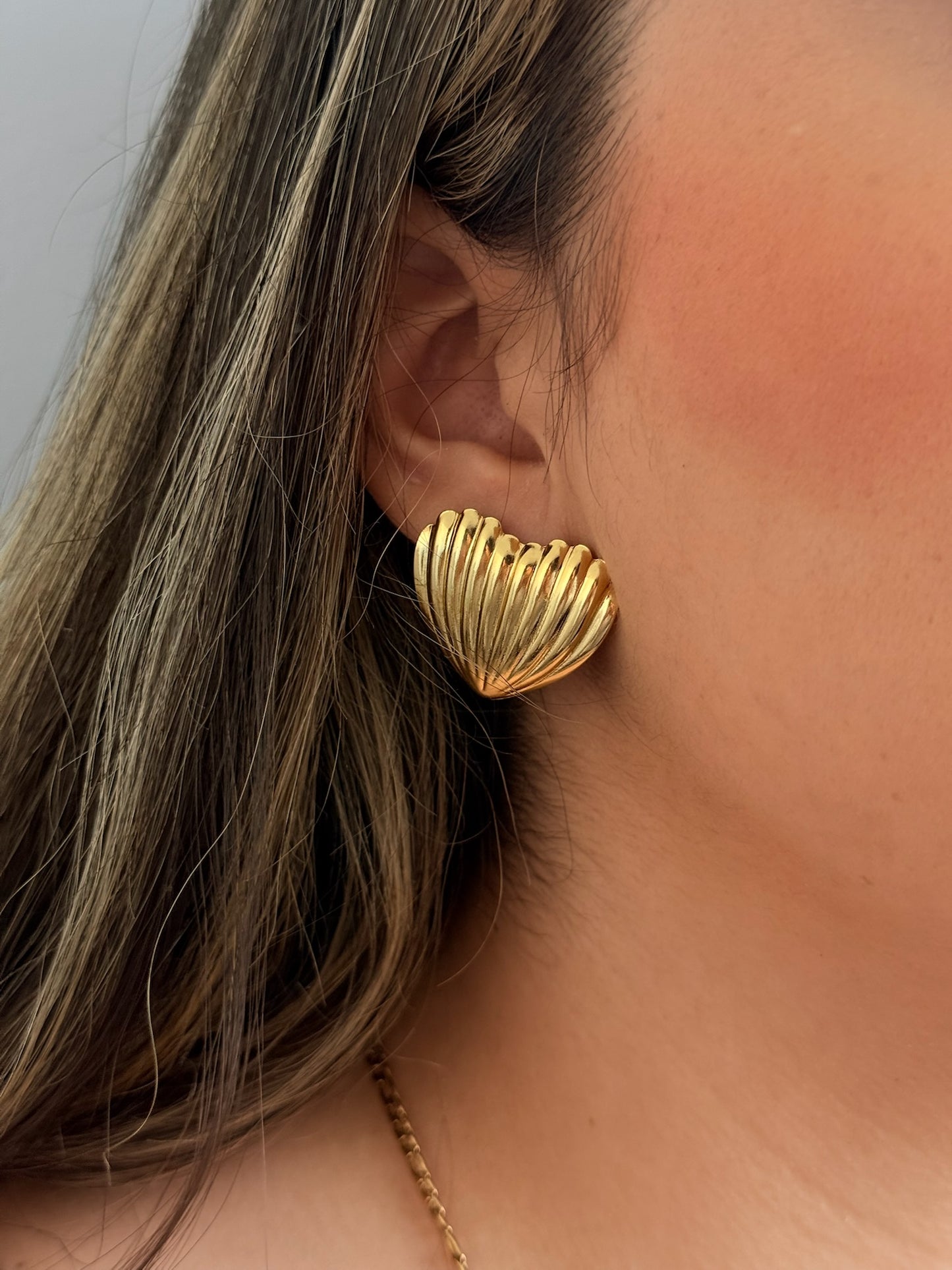 Aretes marino