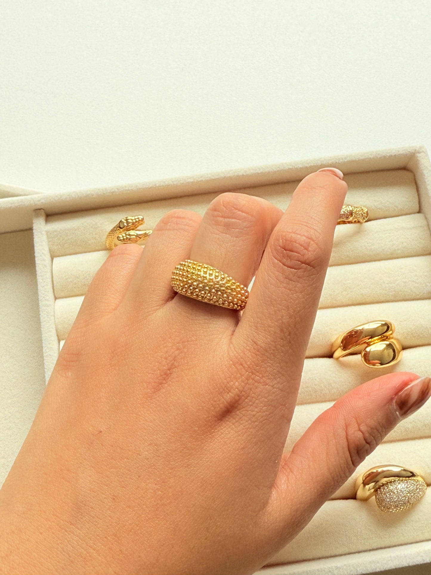 Anillo revival