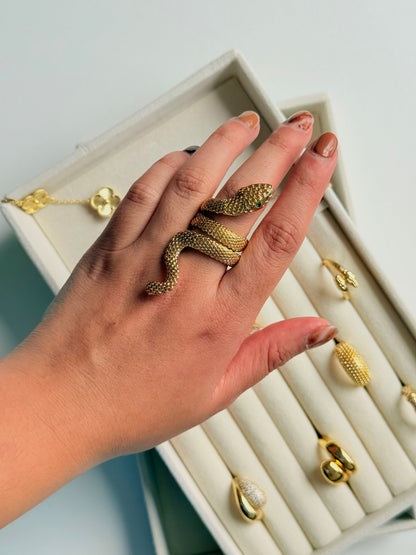 Anillo snake