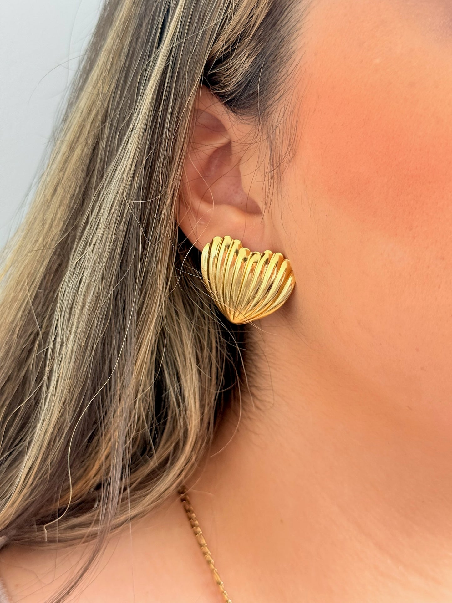 Aretes marino