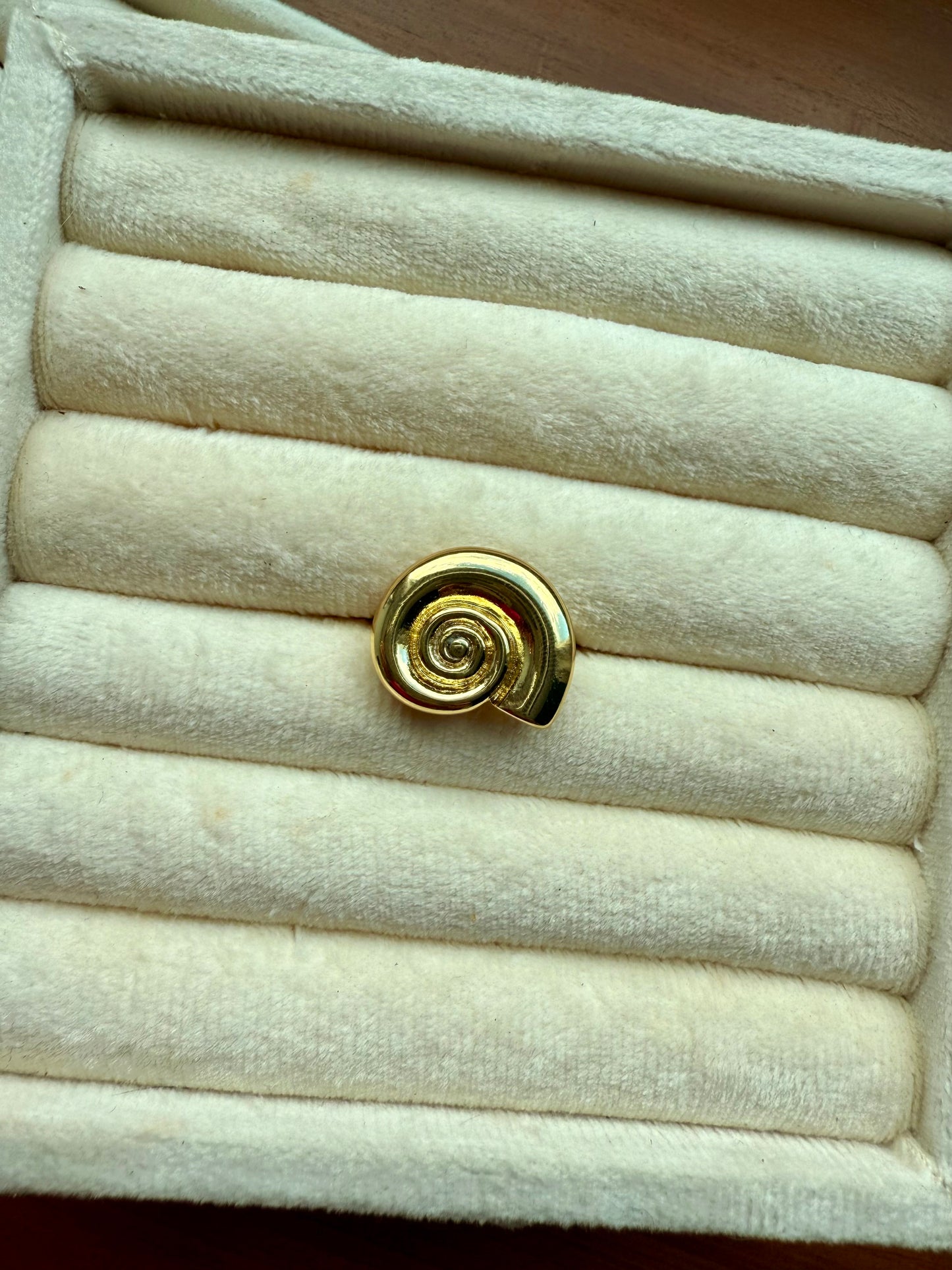 Anillo caracola
