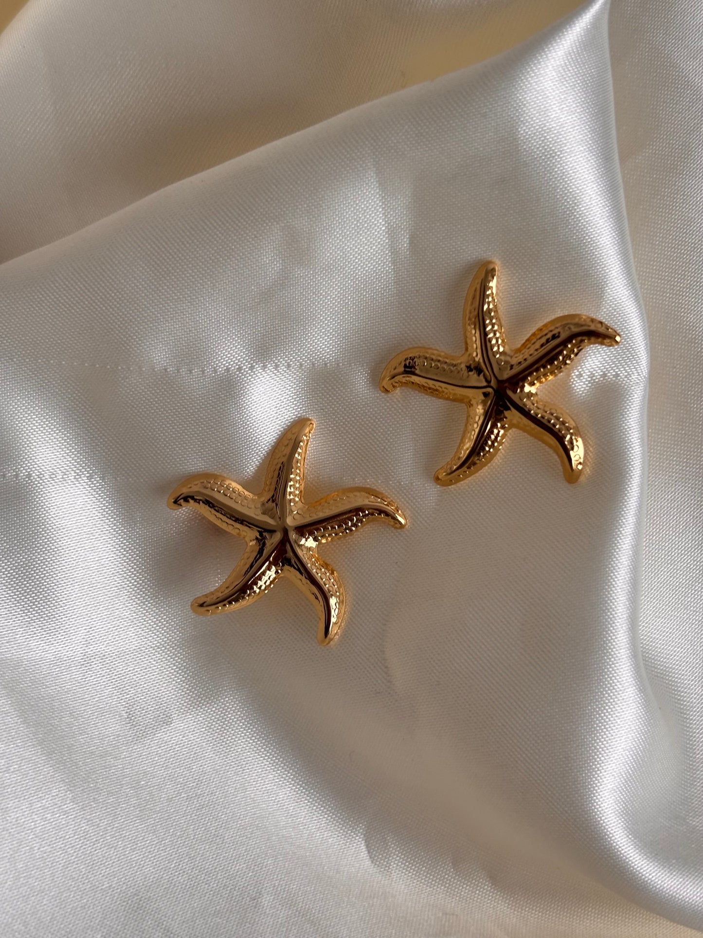 Aretes estrella mar