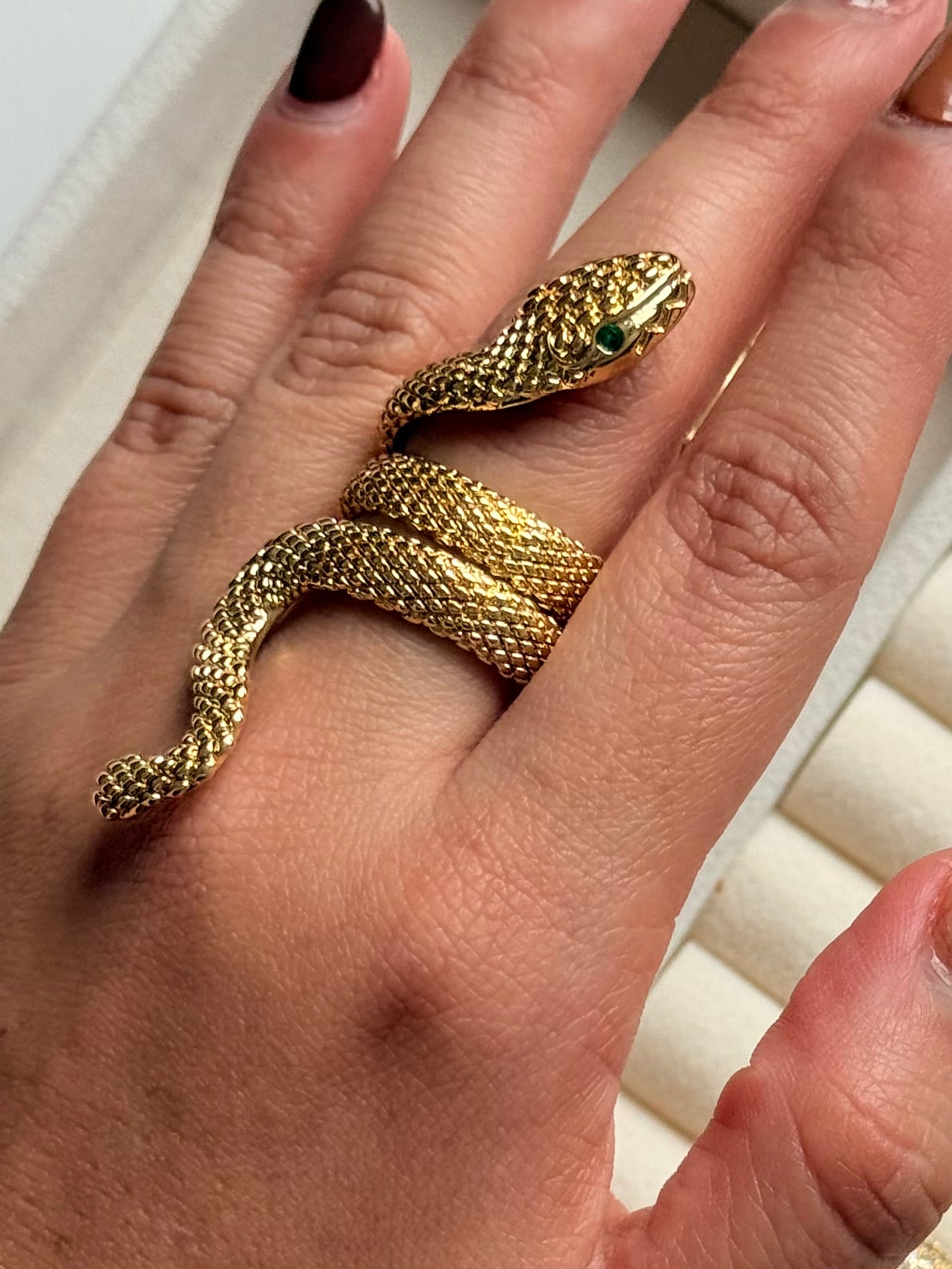 Anillo snake