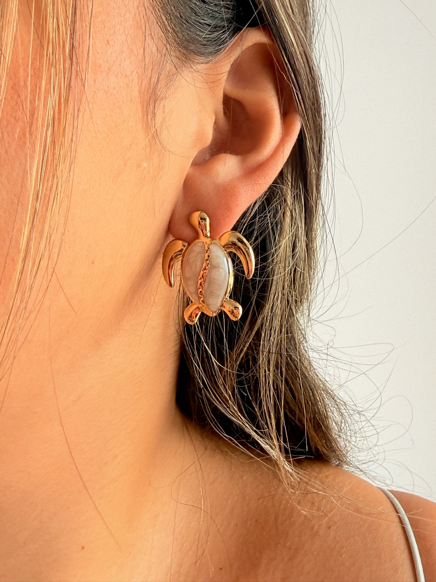 Aretes tortuga
