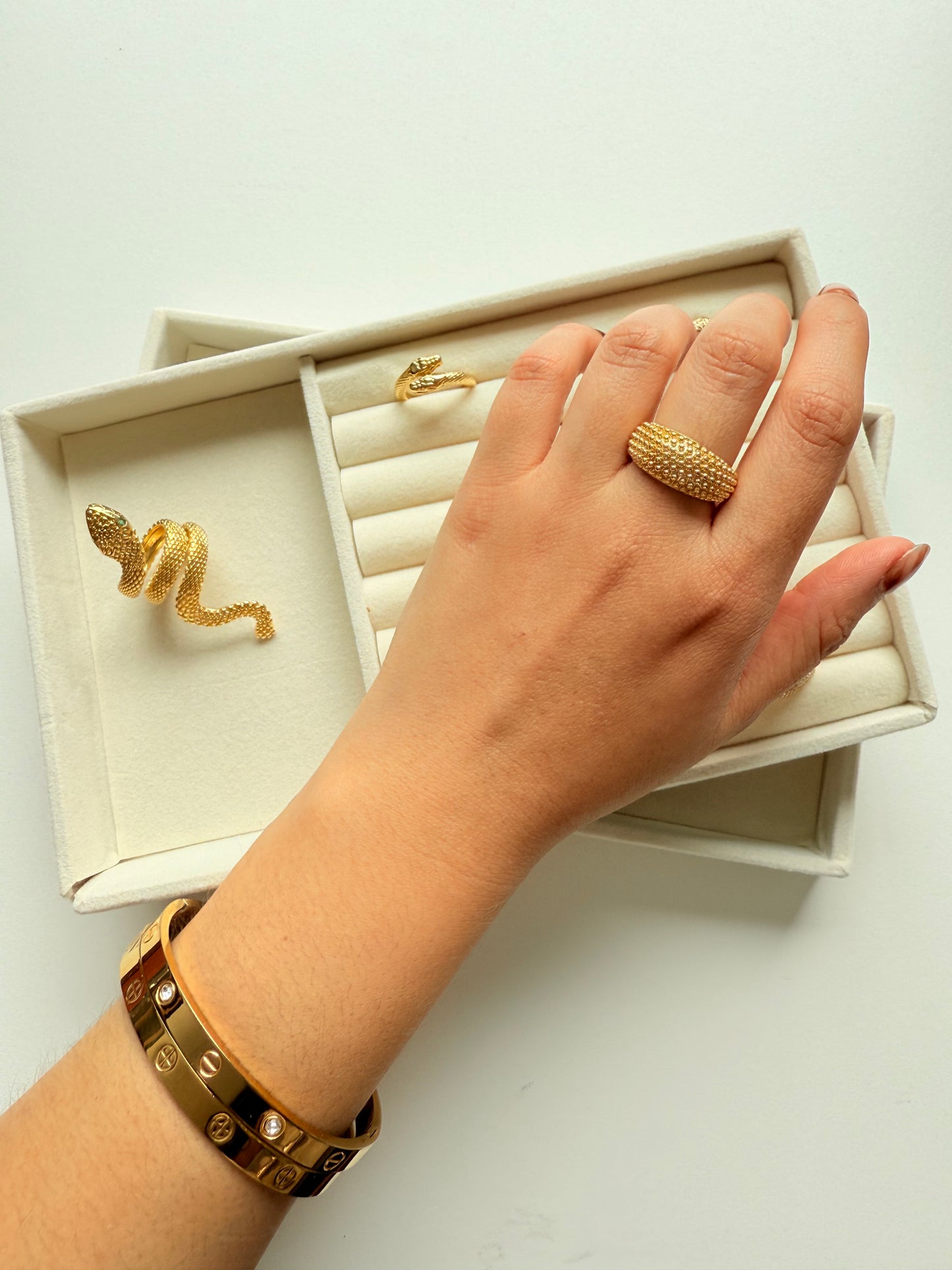 Anillo revival