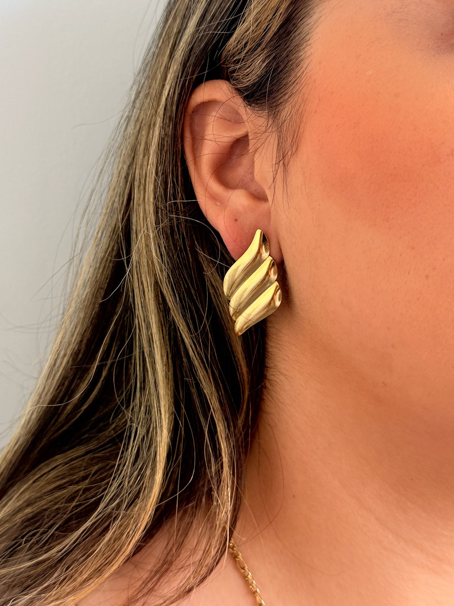 Aretes caracola