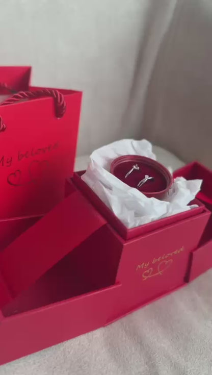 BOX plateada anillos